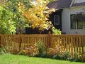 фото деревянная ограда 2